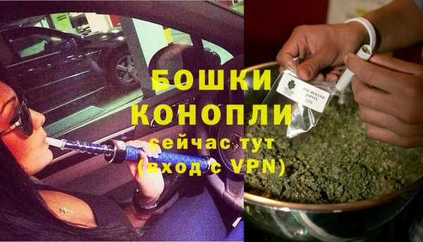 эйфоретик Аркадак