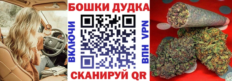 hydra маркетплейс  Судак  Шишки марихуана ГИДРОПОН 